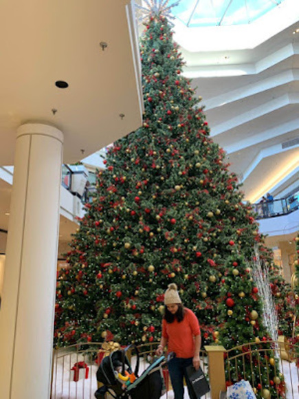 Meet your Posher, Priyanka - Picture 1 of 1